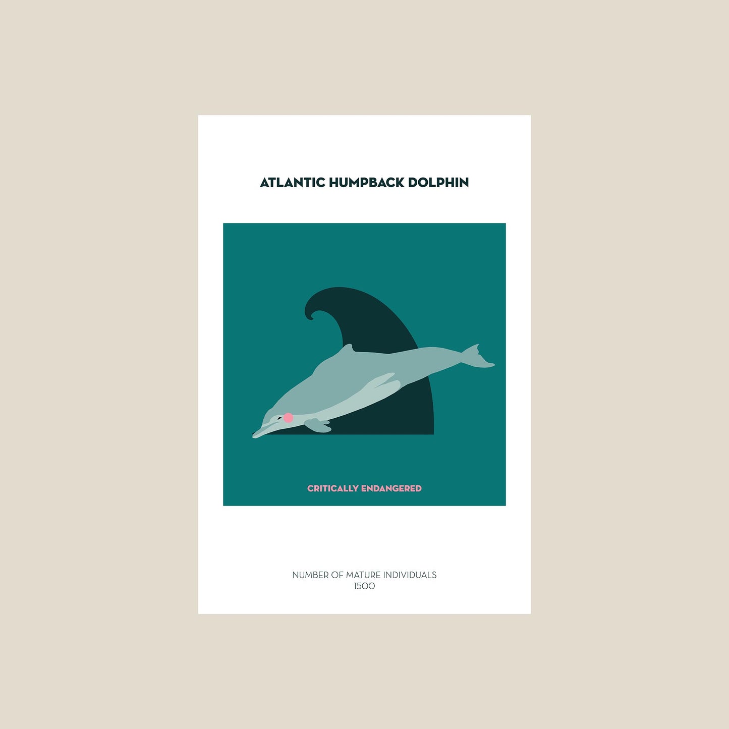 Atlantic humpback dolphin