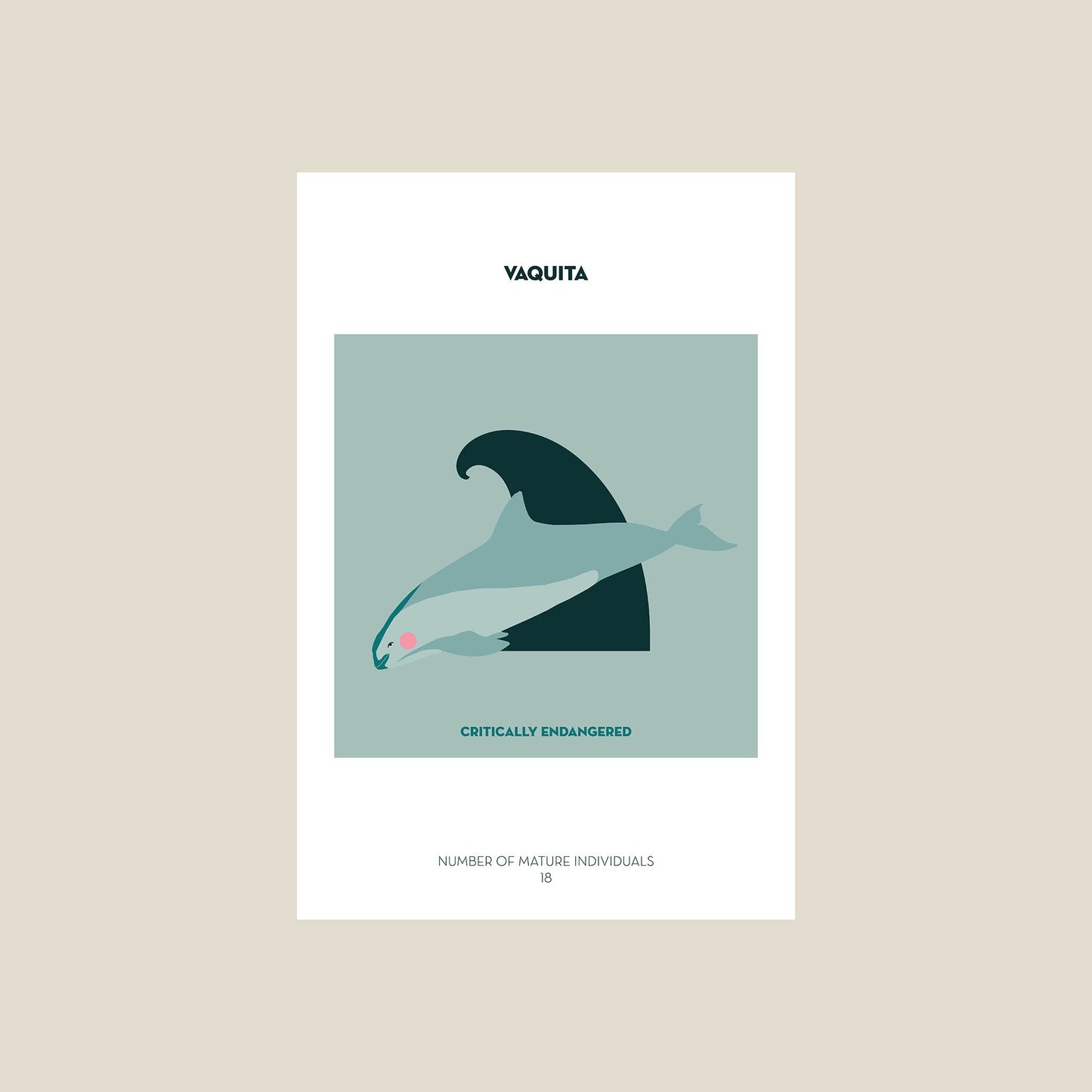 Vaquita postcard