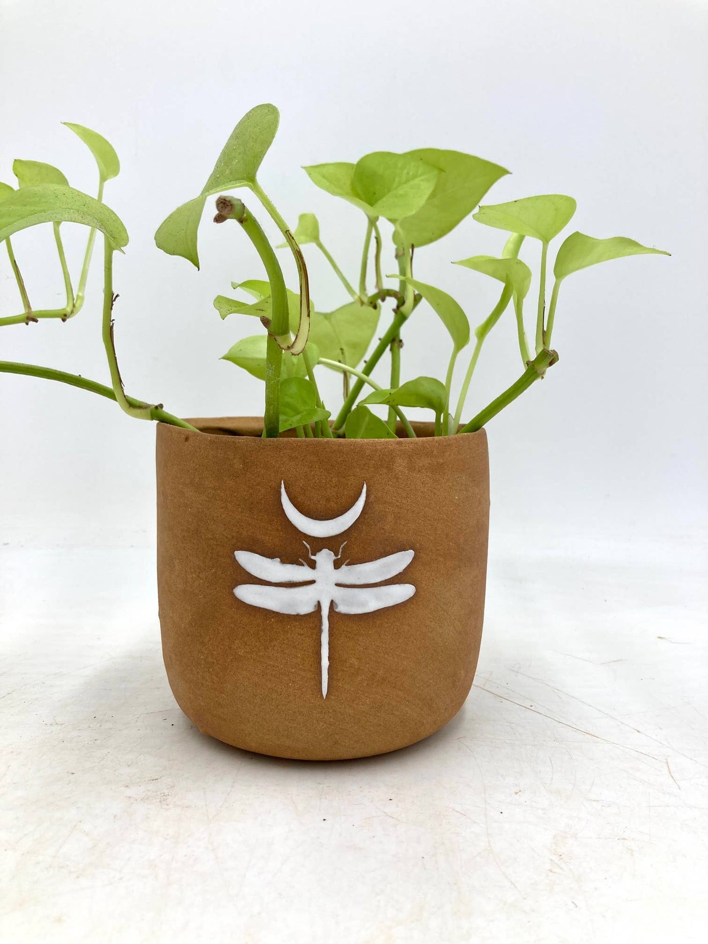 Small Dragonfly Handmade, Wonky Ceramic Plant Pot/Planter