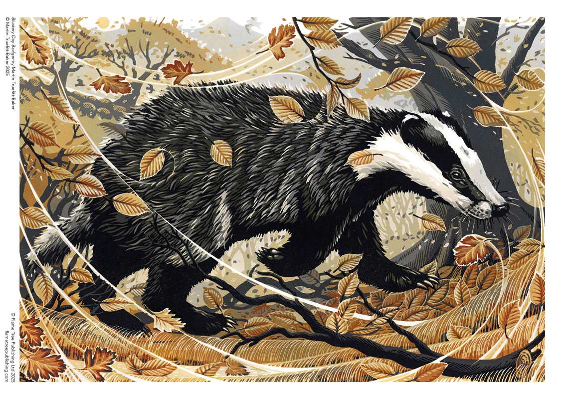 Jigsaw Puzzle Martin Truefitt-Baker: Blustery Day Badger by: Jigsaw; 1 pages / English