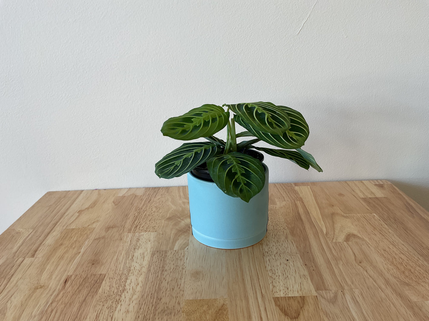 Tandem Ceramics small planter