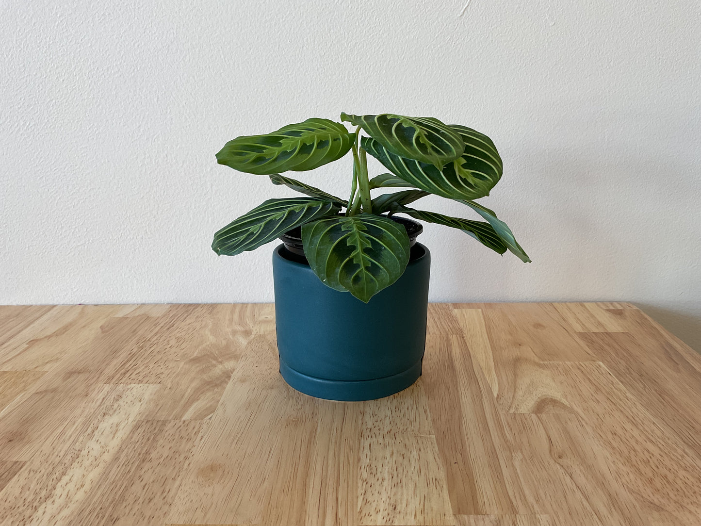 Tandem Ceramics small planter