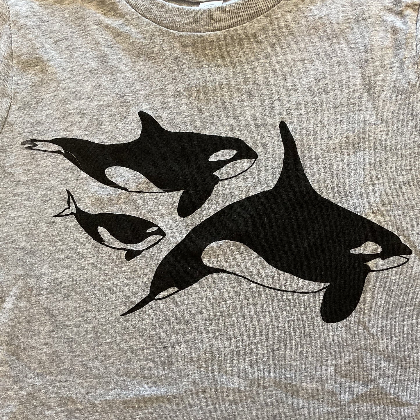 Kids Orca T-shirt & onesie