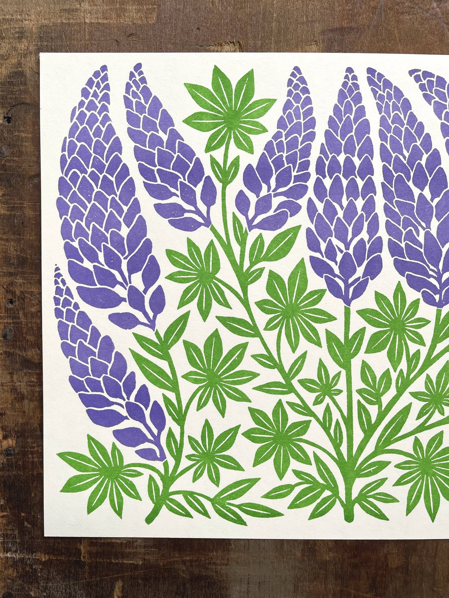 Garden Series: Lupines Risograph Art Print