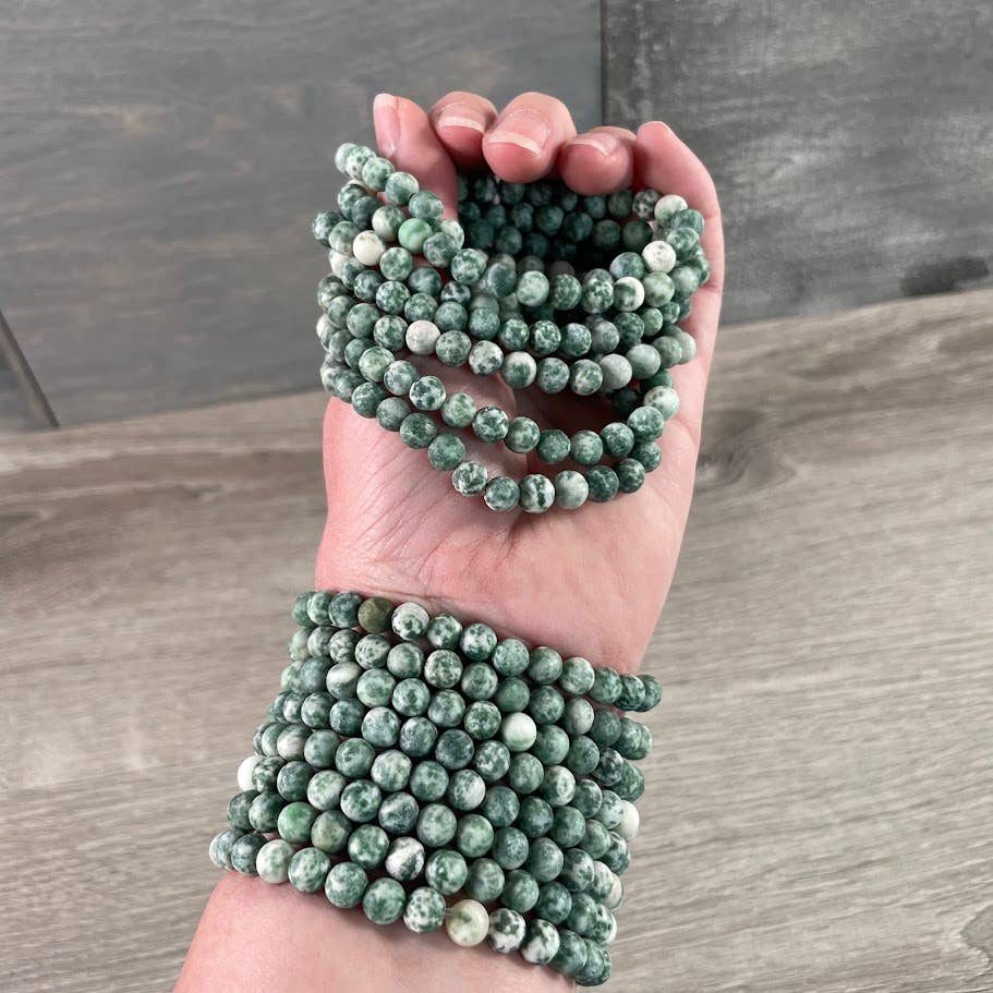 Gemstone Beaded Stretch Bracelets 6mm Tree Agate