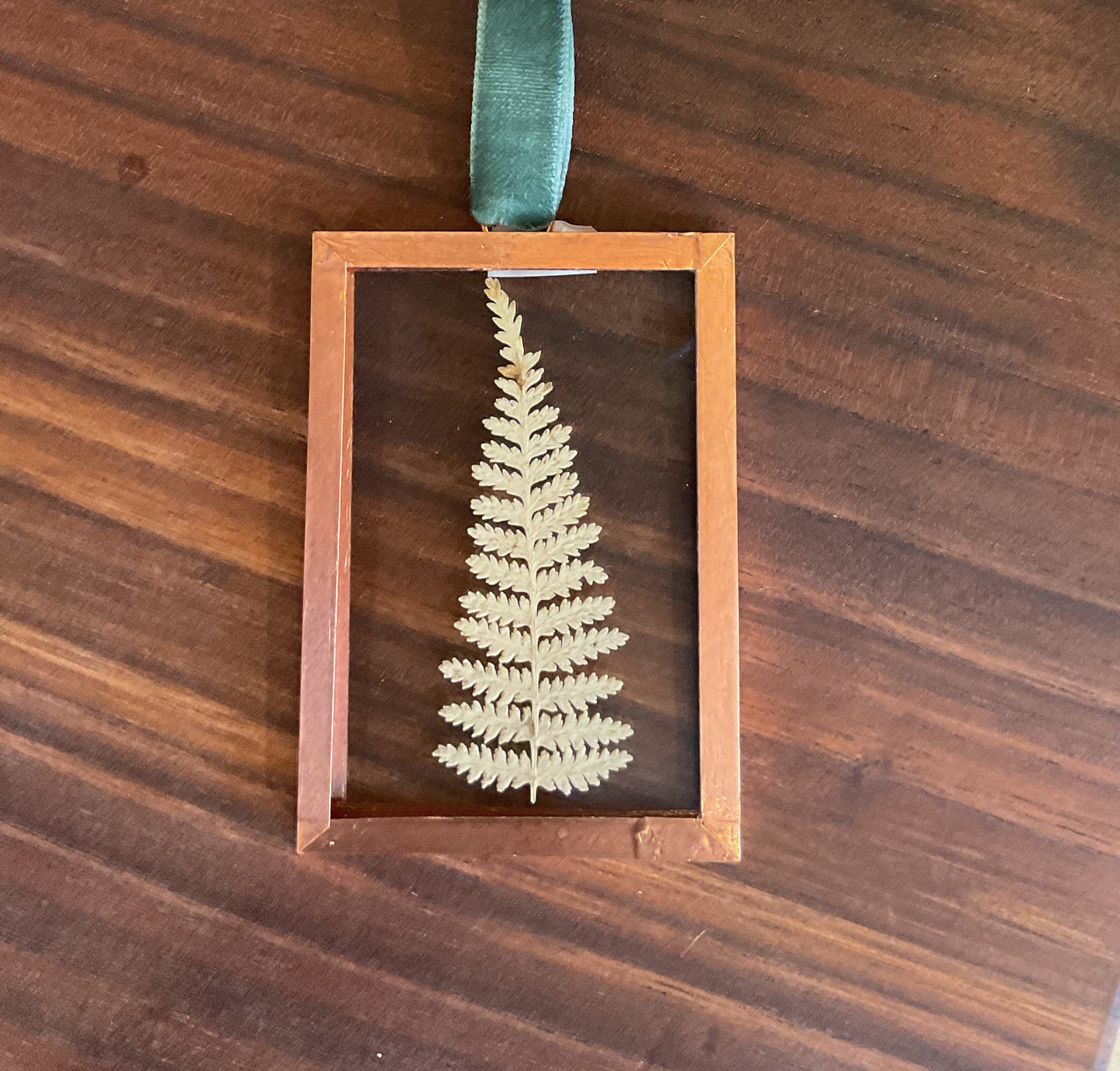 Pressed Fern Ornament