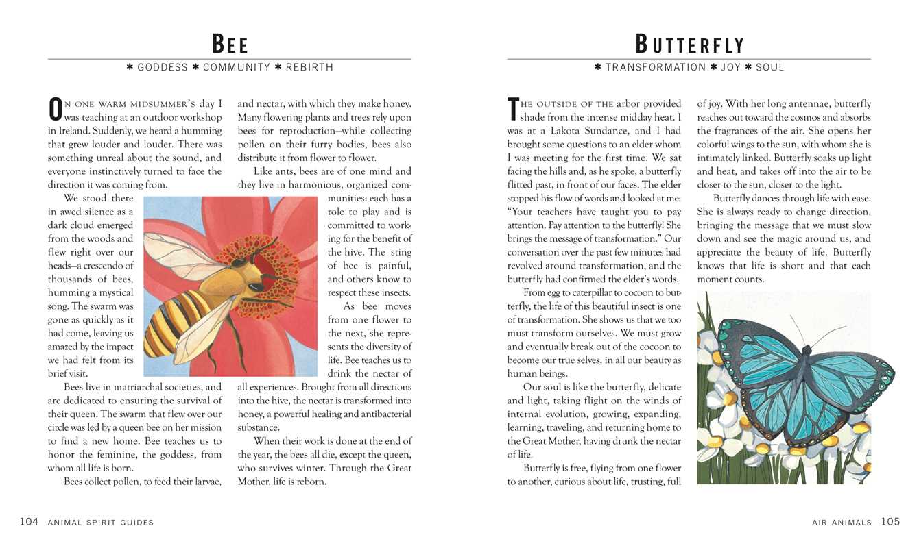 Spirit Animal Guides by Chris Luttichau: Hardcover; 160 pages / English