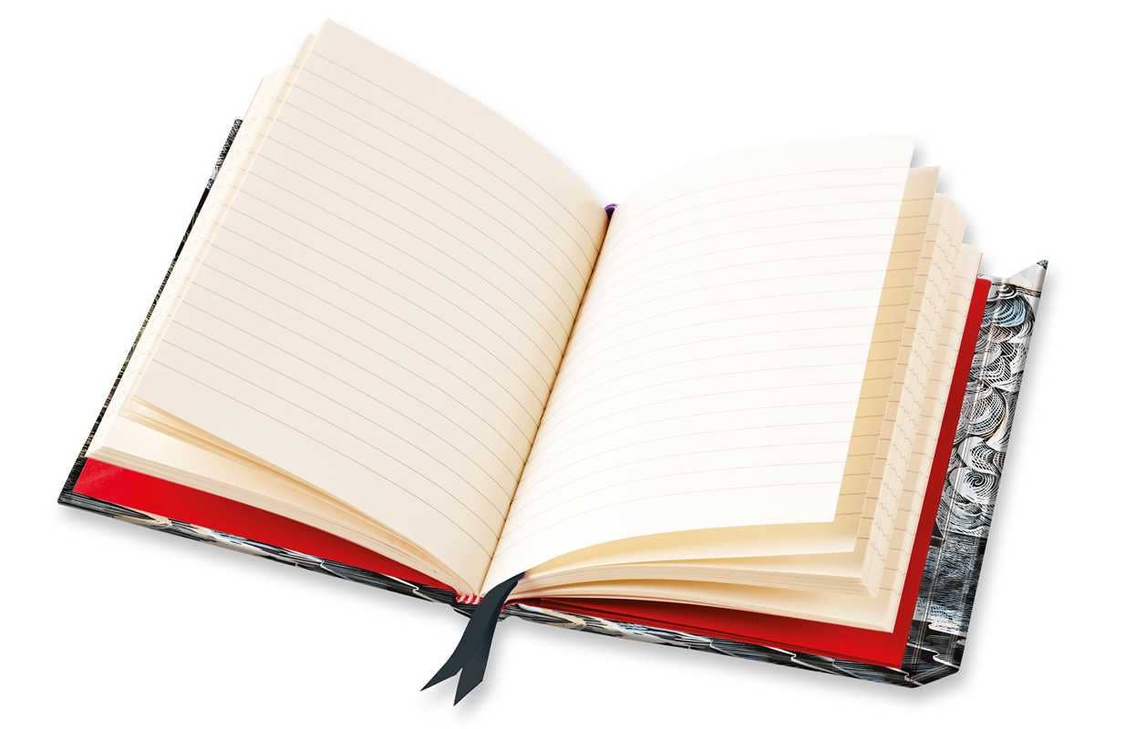 Angela Harding: Curlew Cry (Foiled Journal) by: Notebook / blank book; 176 pages / English