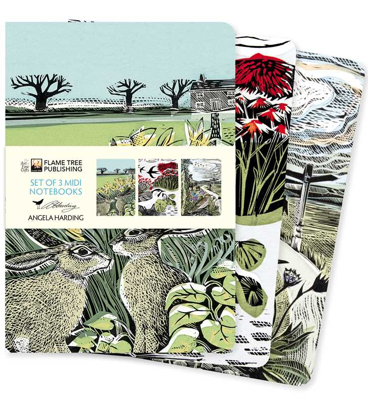 Angela Harding: Landscapes Set of 3 Midi Notebooks by: Notebook / blank book; 64 pages / English