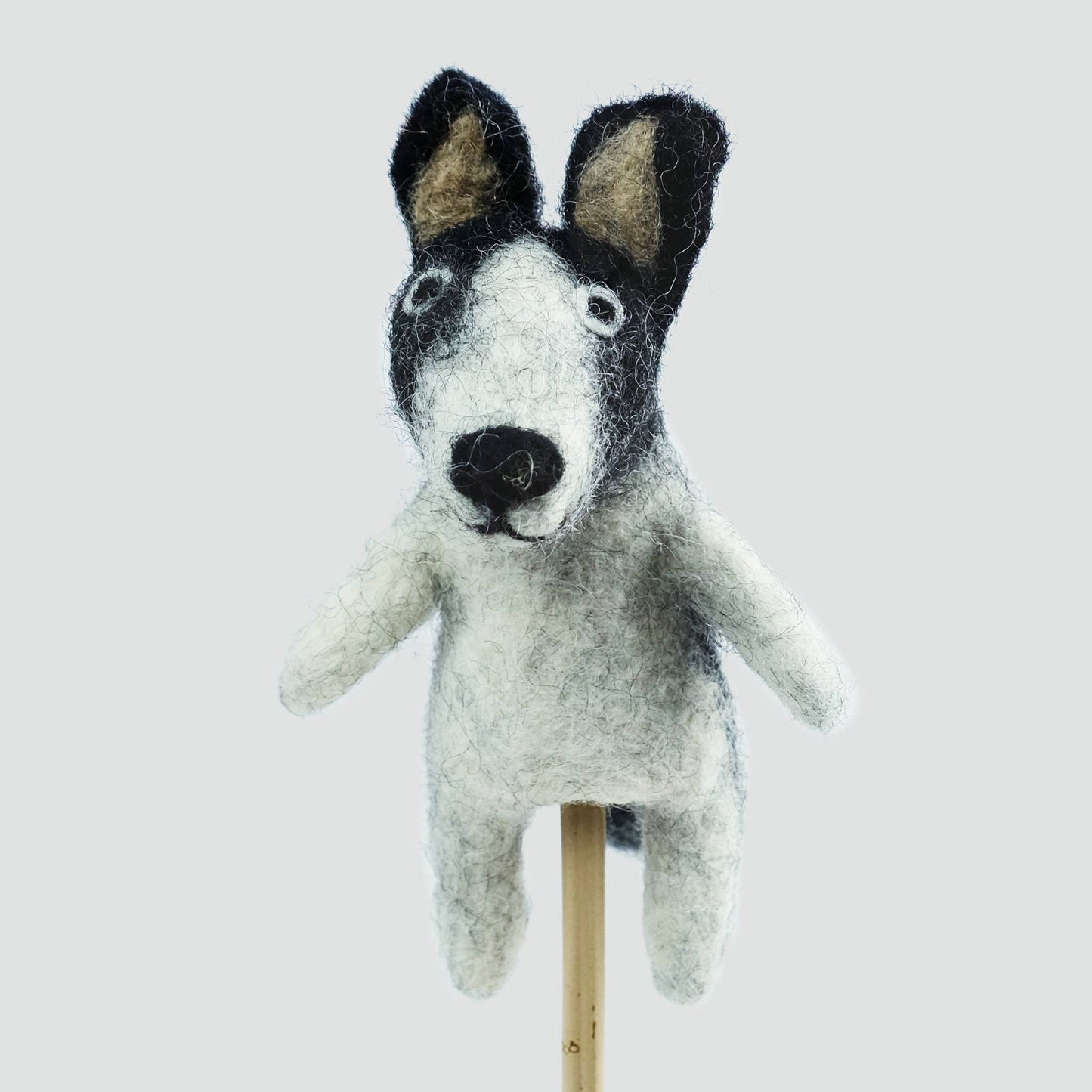 Finger Puppets - Cats and Dogs - Assorted