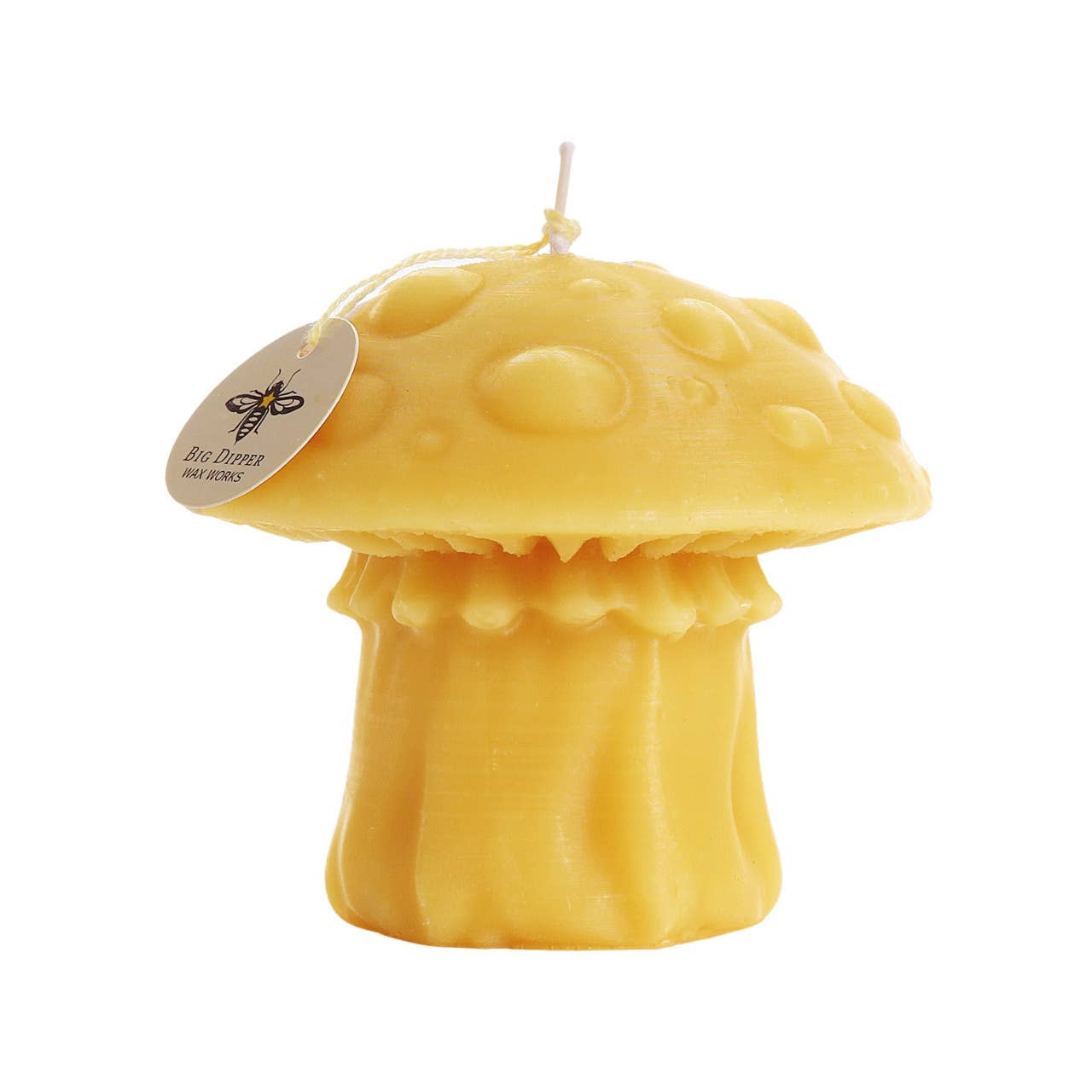 Mushroom Candles – 100% Pure Beeswax – 3 Styles: Morel Mushroom