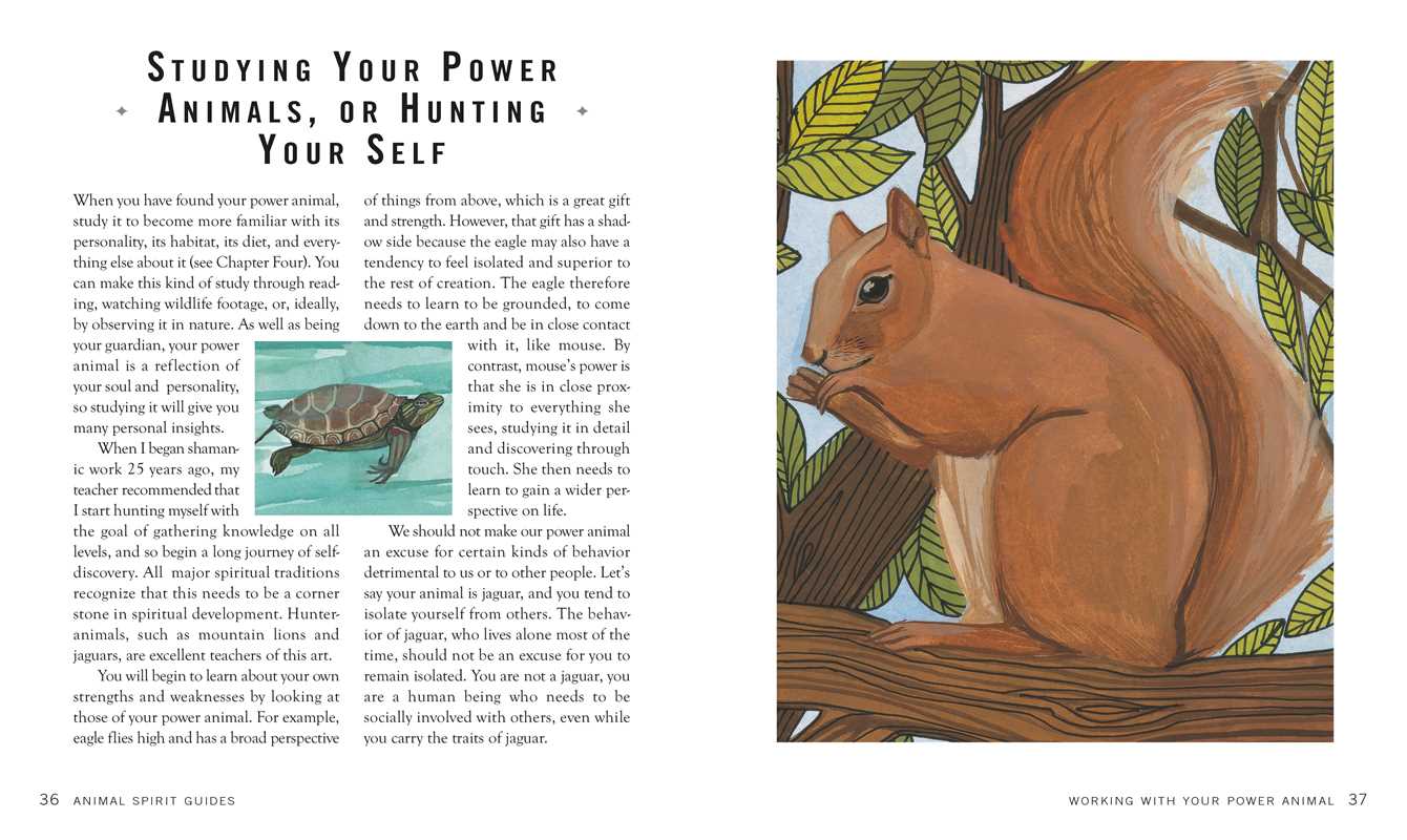 Spirit Animal Guides by Chris Luttichau: Hardcover; 160 pages / English