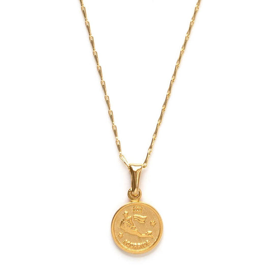 Tiny Zodiac Medallion- Singles: Aquarius