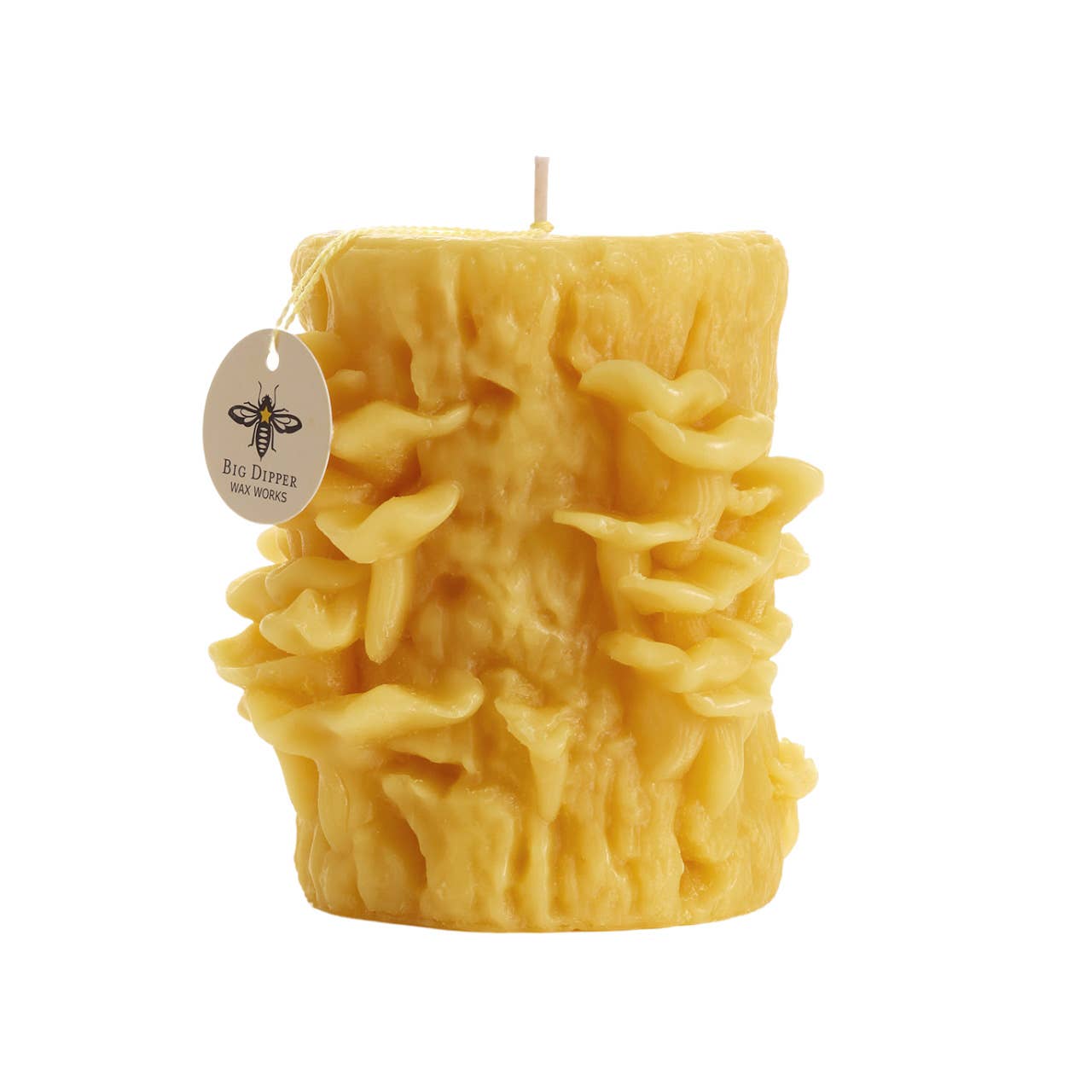 Mushroom Candles – 100% Pure Beeswax – 3 Styles: Morel Mushroom