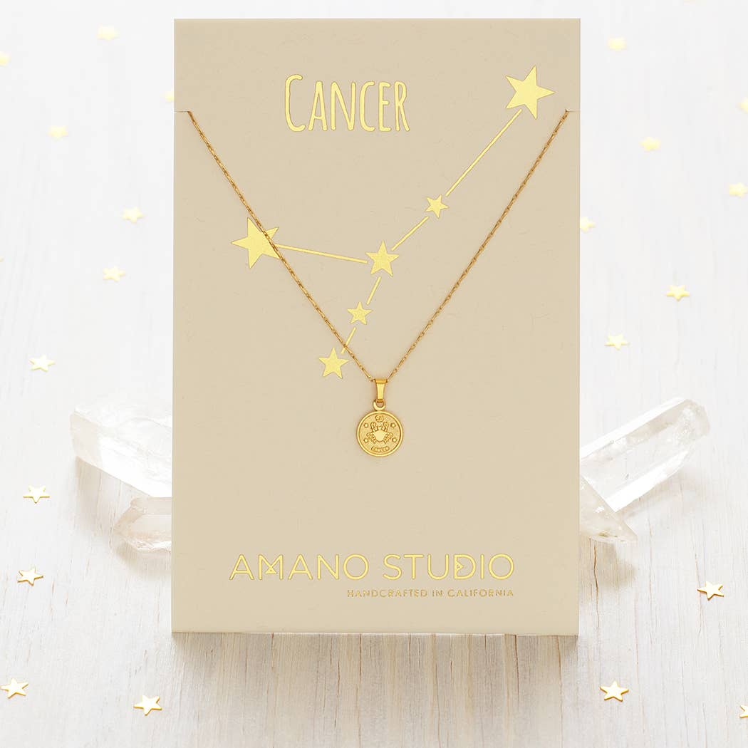 Tiny Zodiac Medallion- Singles: Aquarius