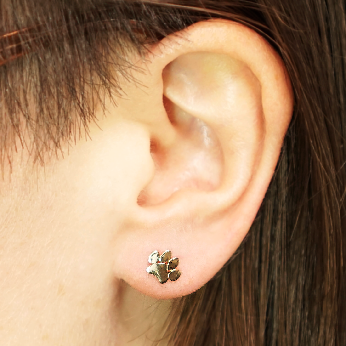 Sterling Silver or Bronze Paw Print Post Earrings 6x7mm: Bronze