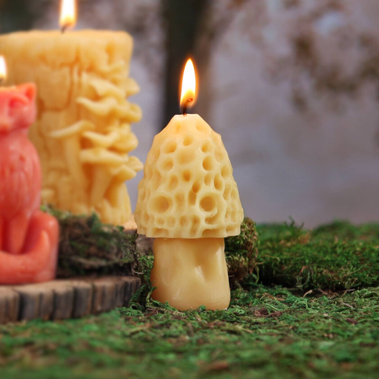 Mushroom Candles – 100% Pure Beeswax – 3 Styles: Morel Mushroom