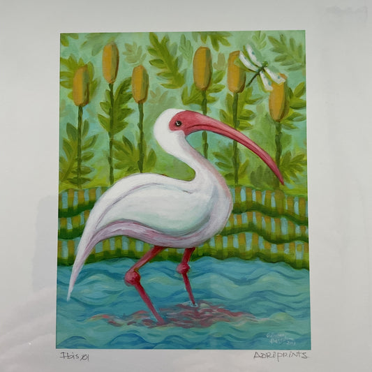 Ibis Print
