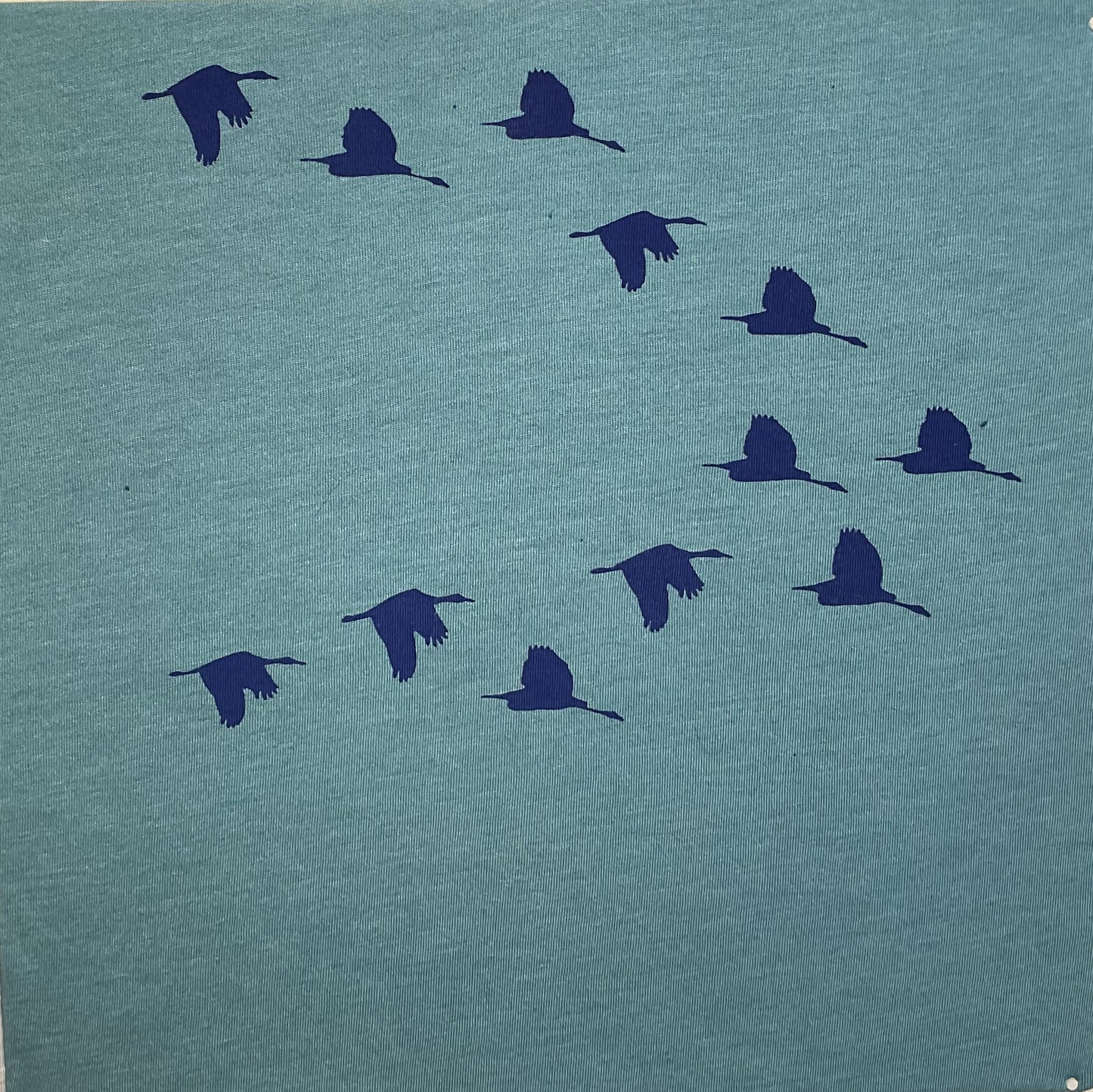 Flock of birds T-shirt