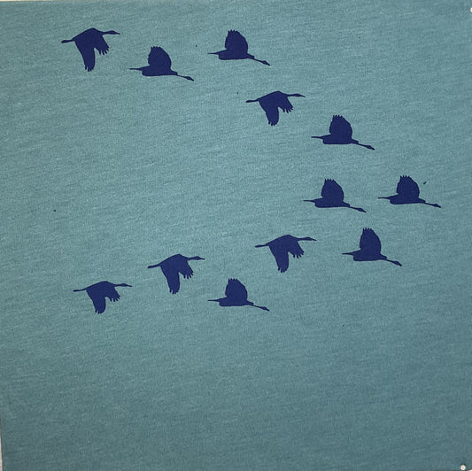 Flock of birds T-shirt