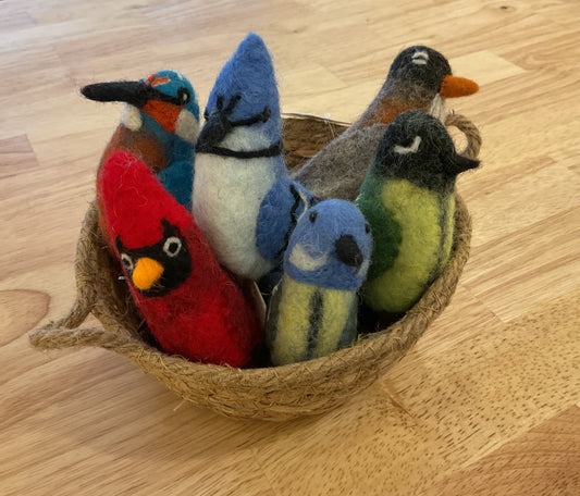 Finger puppets- Backyard Birds