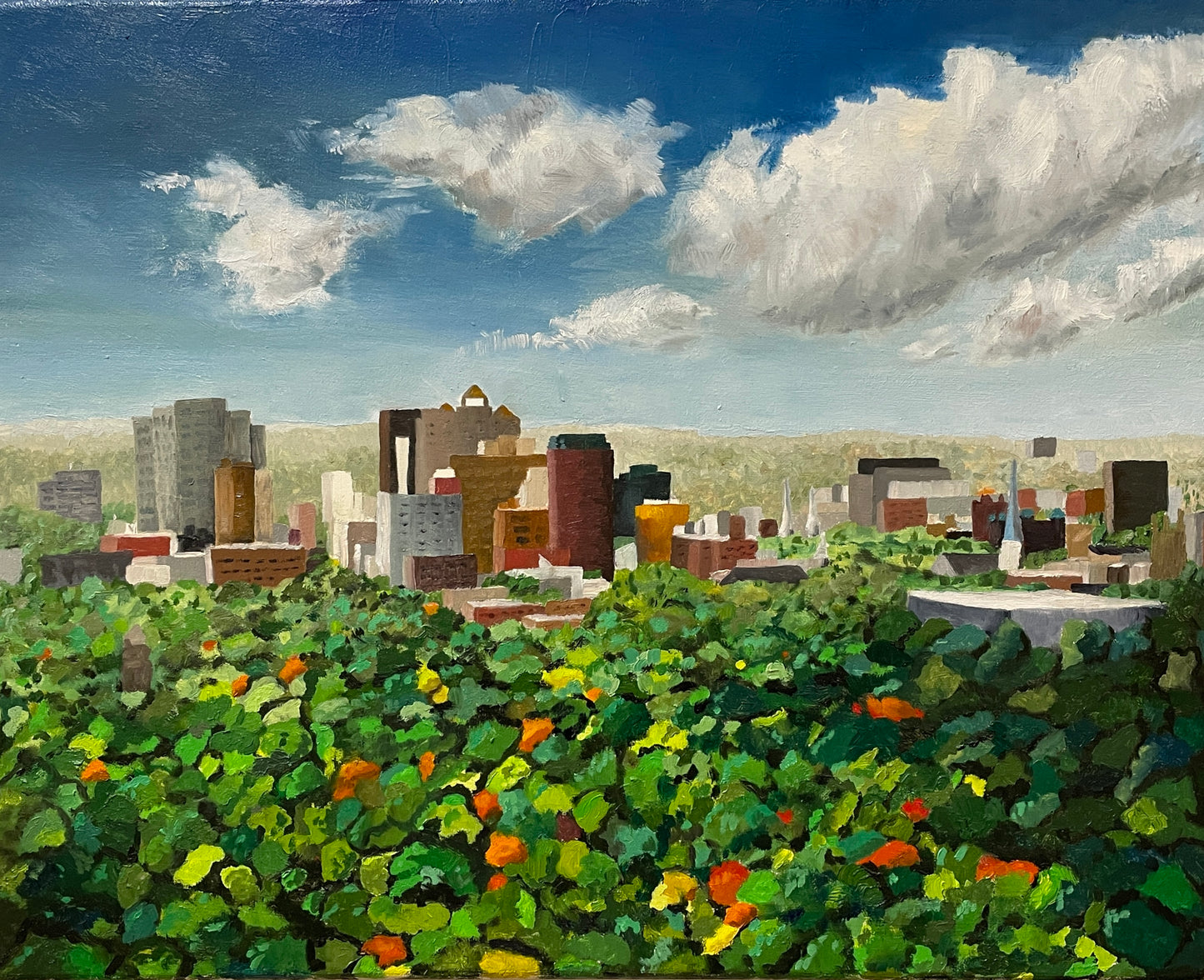 The Elm City