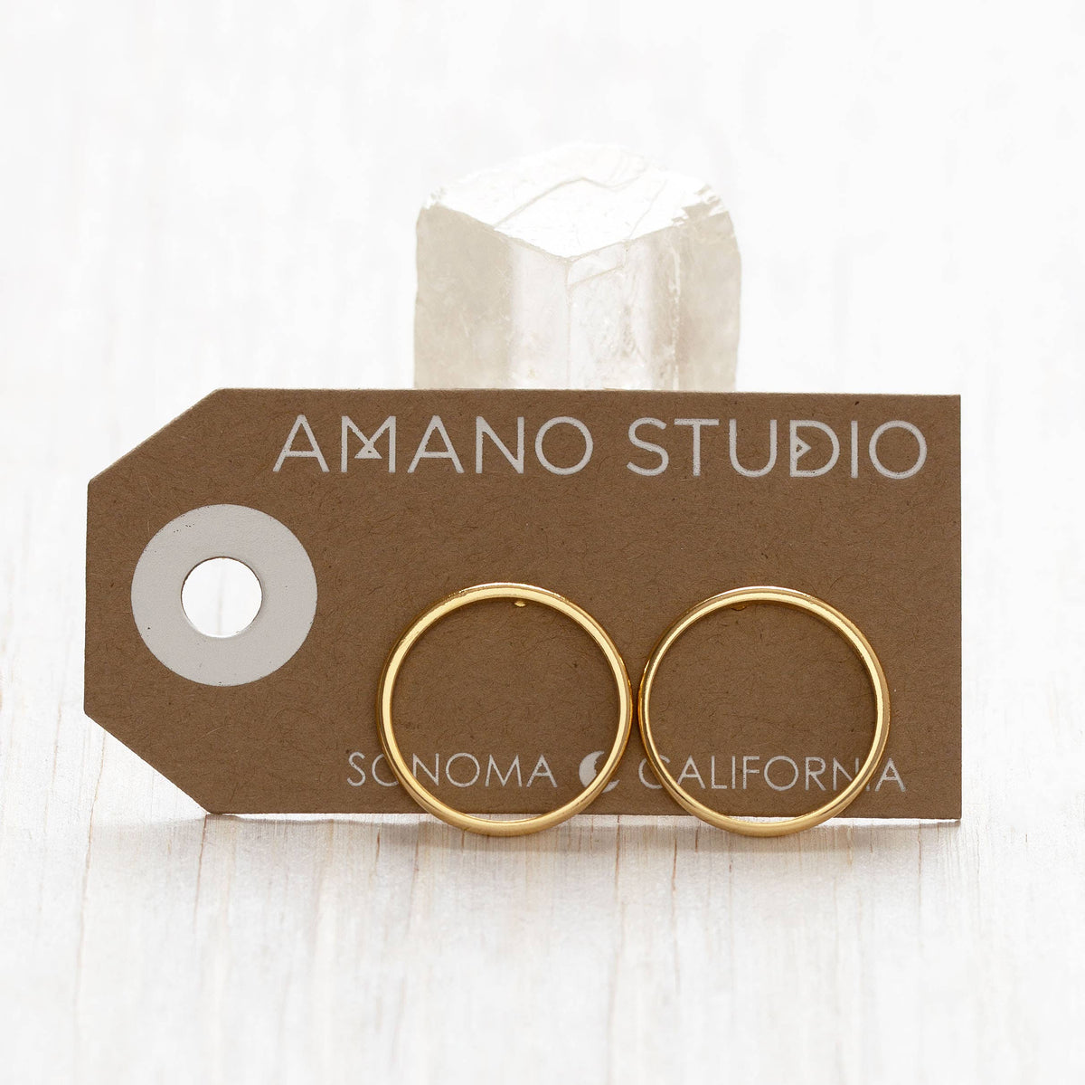 Circle Stud Earrings