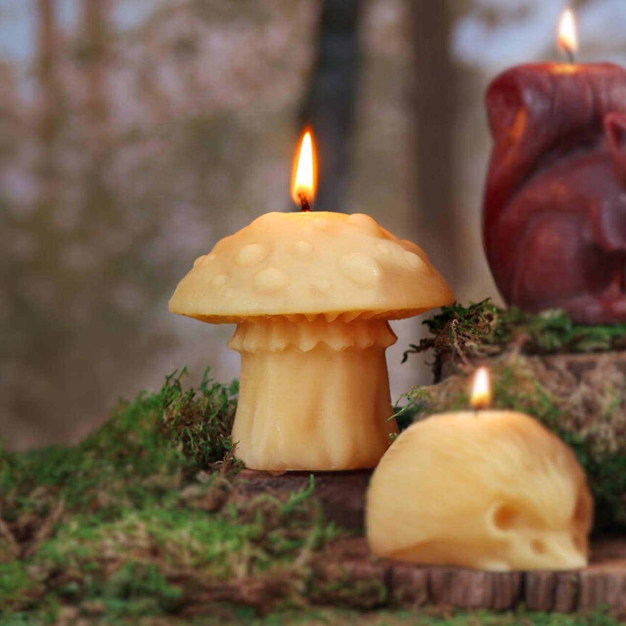 Mushroom Candles – 100% Pure Beeswax – 3 Styles: Morel Mushroom