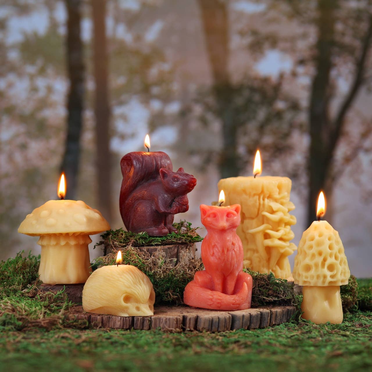 Mushroom Candles – 100% Pure Beeswax – 3 Styles: Morel Mushroom