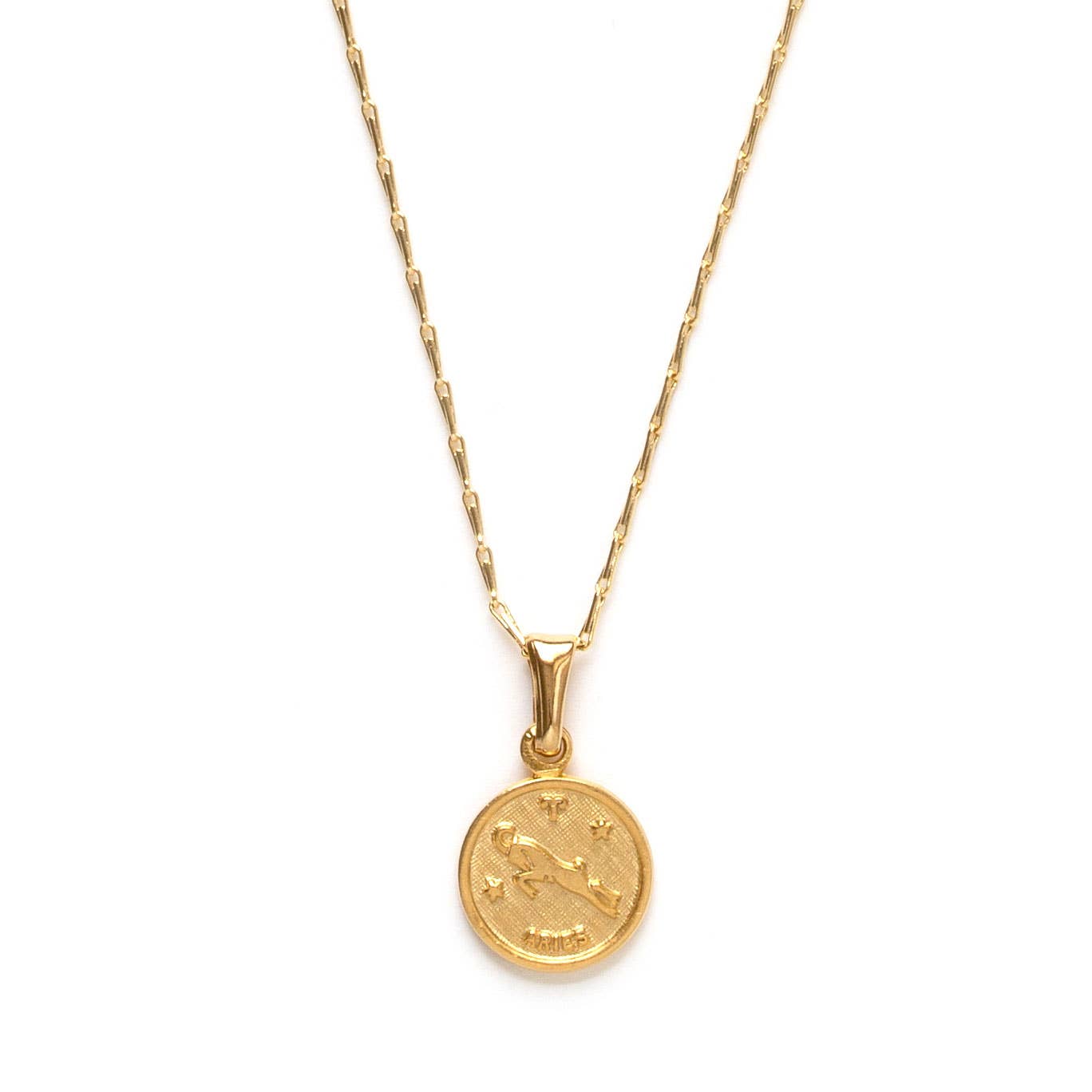 Tiny Zodiac Medallion- Singles: Aquarius