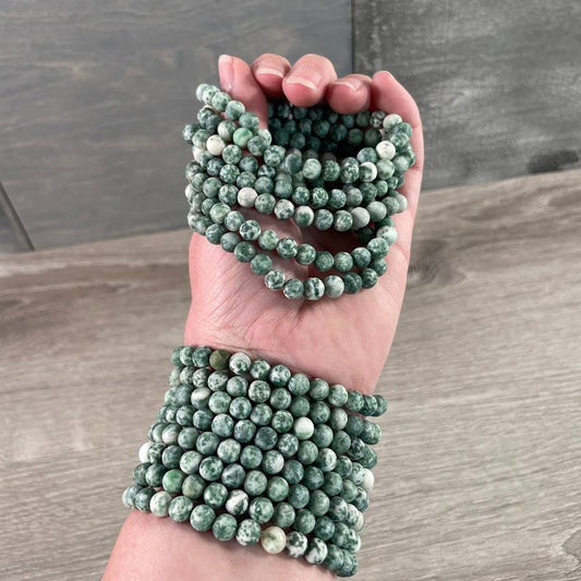 Gemstone Beaded Stretch Bracelets 6mm  Tree Agate